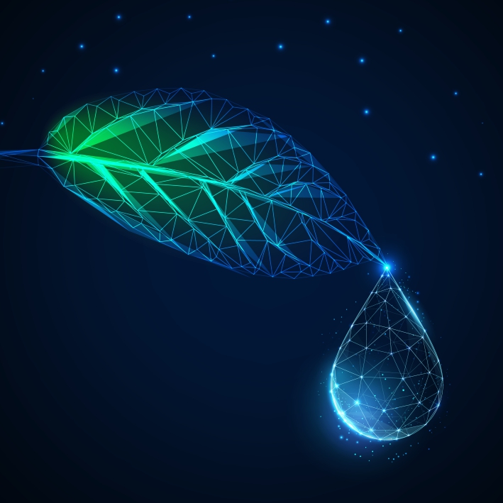 Adiatek ist bei CMS Berlin!